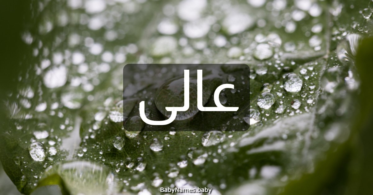 عالى