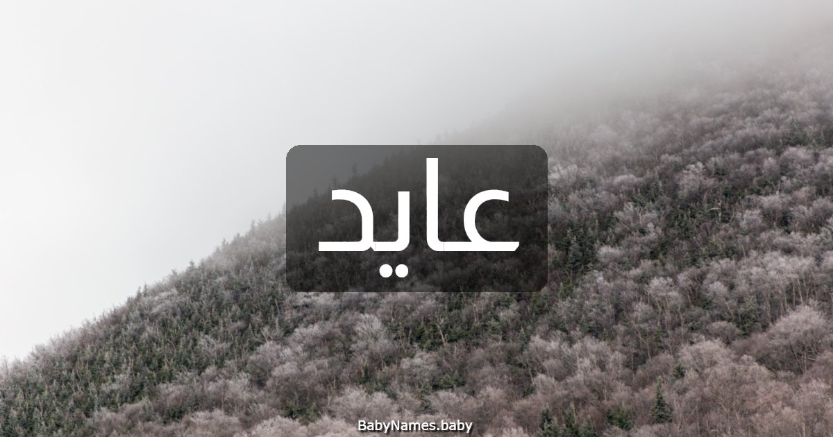 عايد