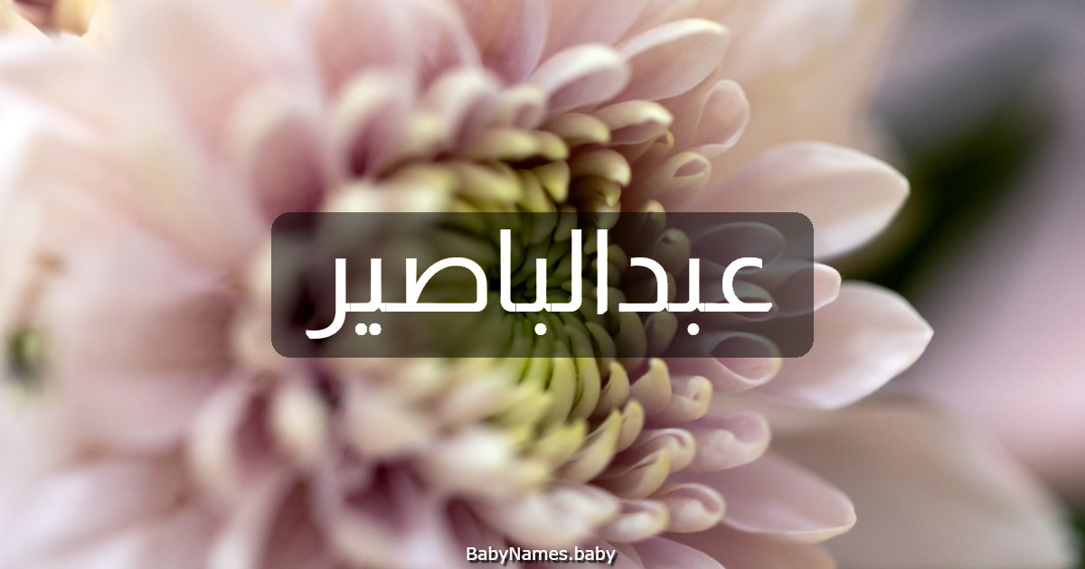 عبدالباصير