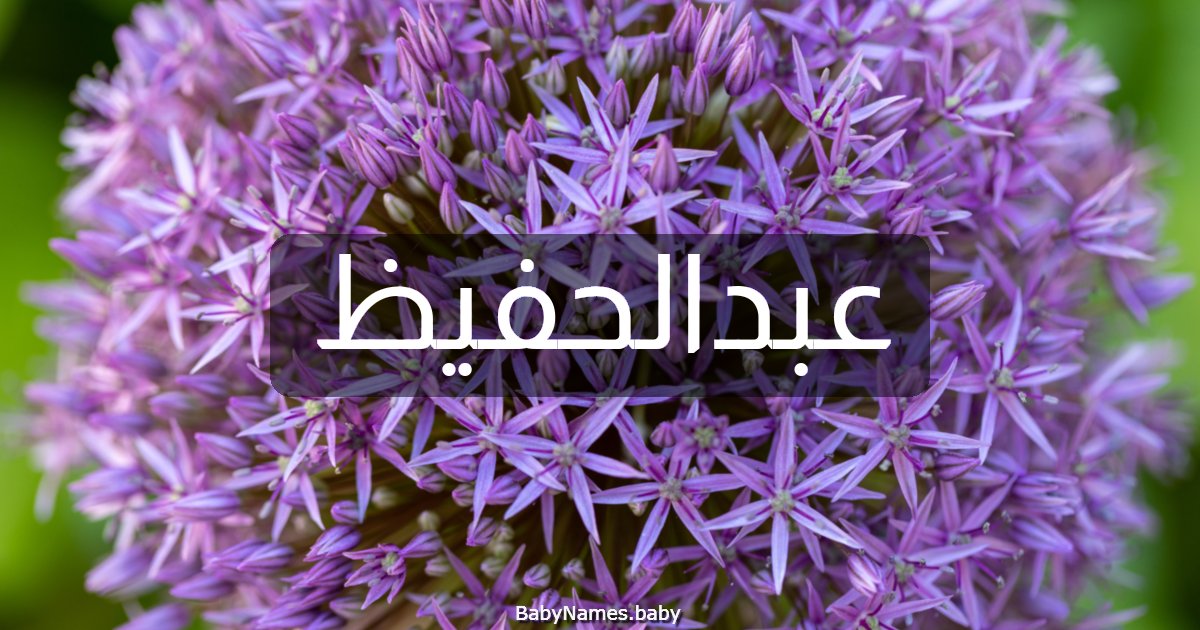 عبدالحفيظ