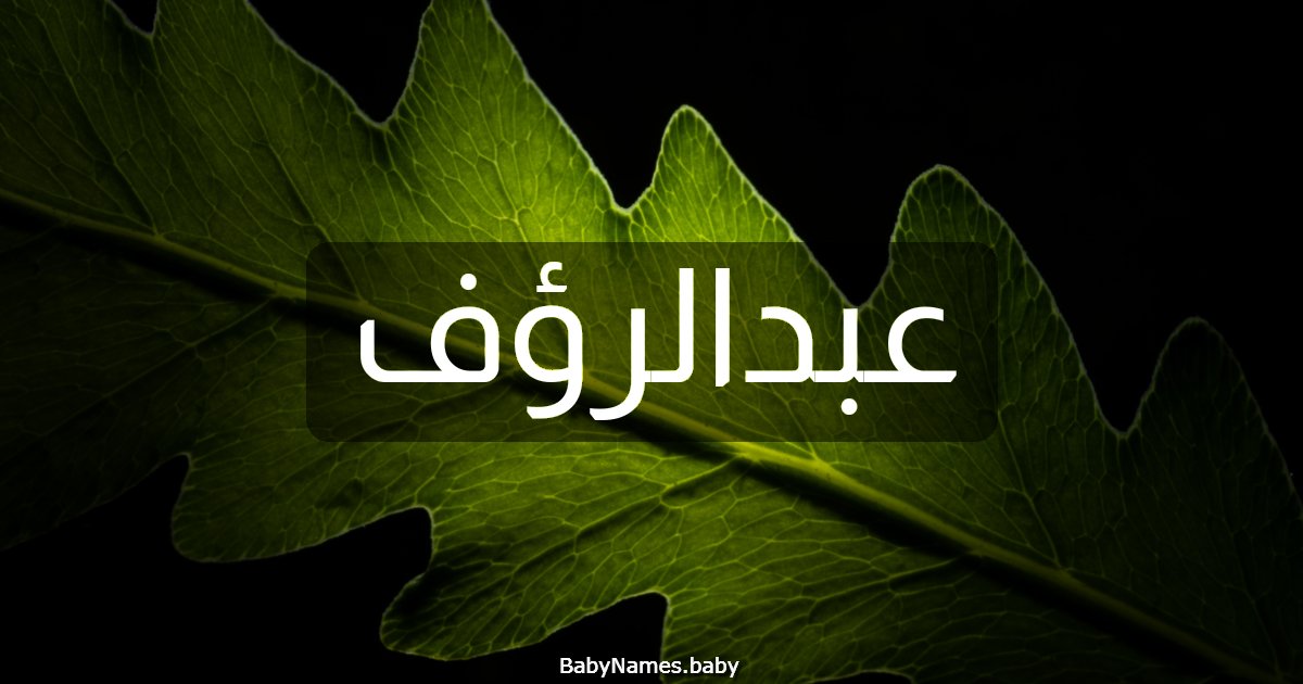 عبدالرؤف
