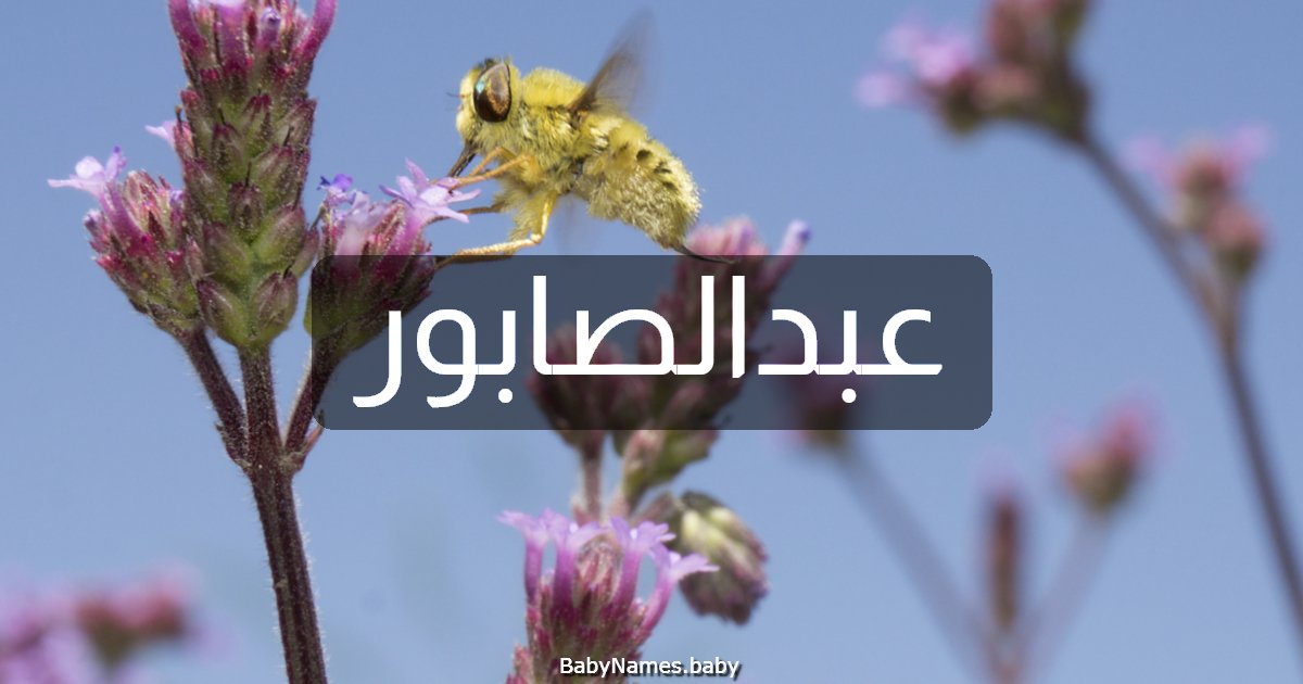 عبدالصابور