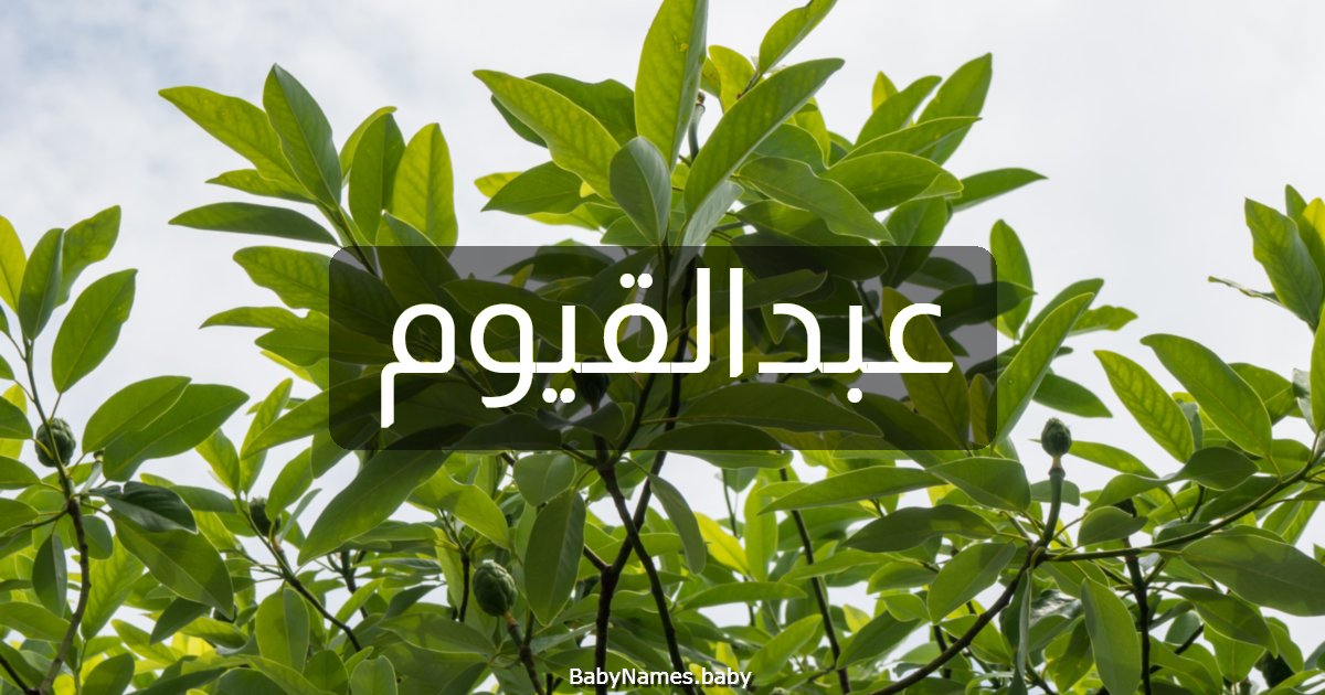 عبدالقيوم