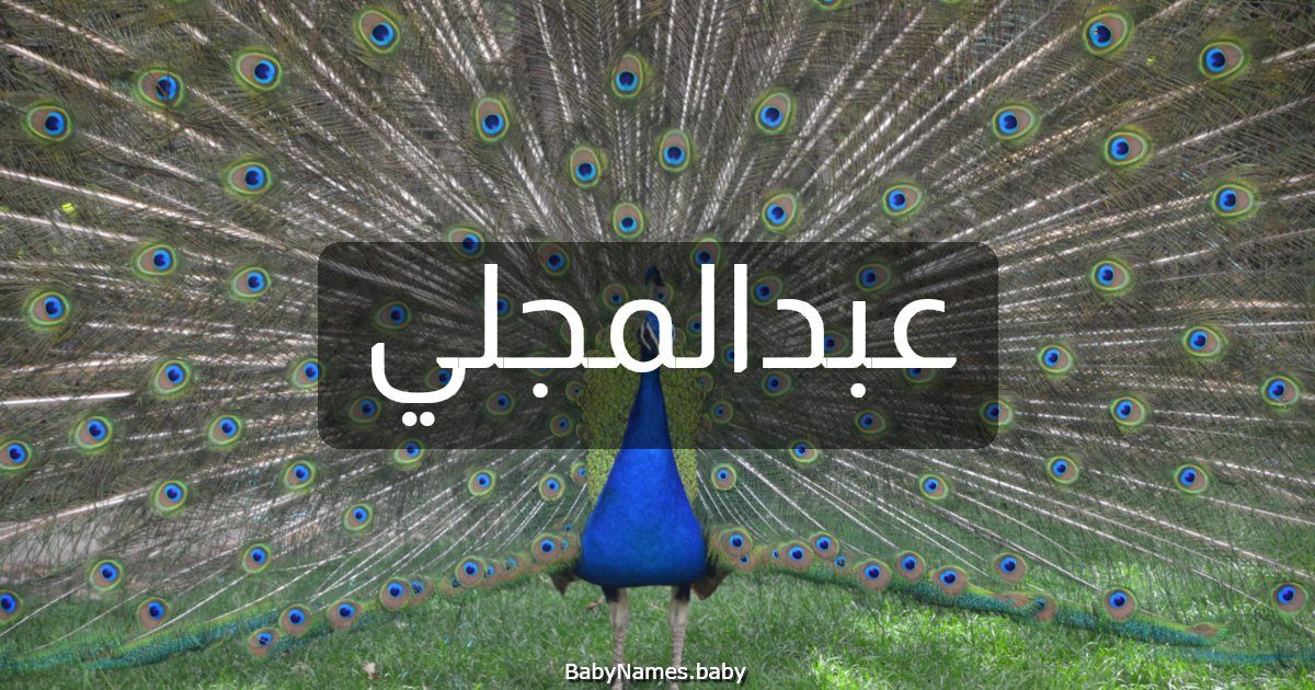 عبدالمجلي
