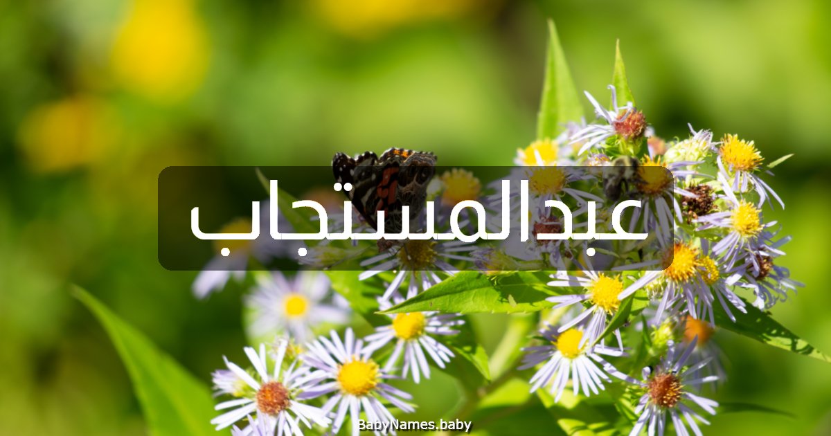 عبدالمستجاب