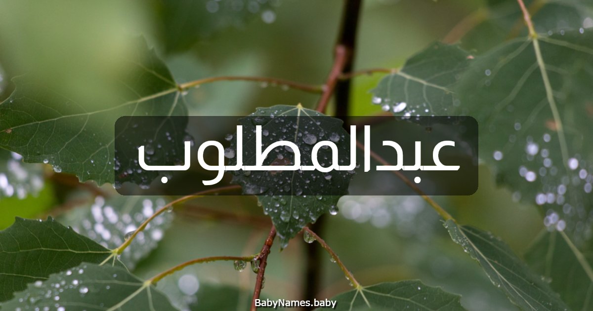 عبدالمطلوب