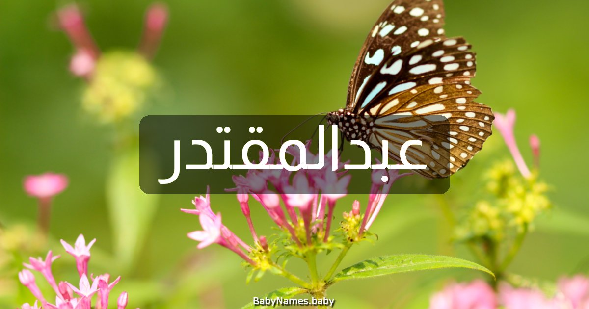 عبدالمقتدر