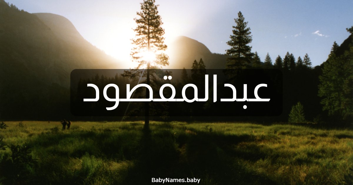 عبدالمقصود