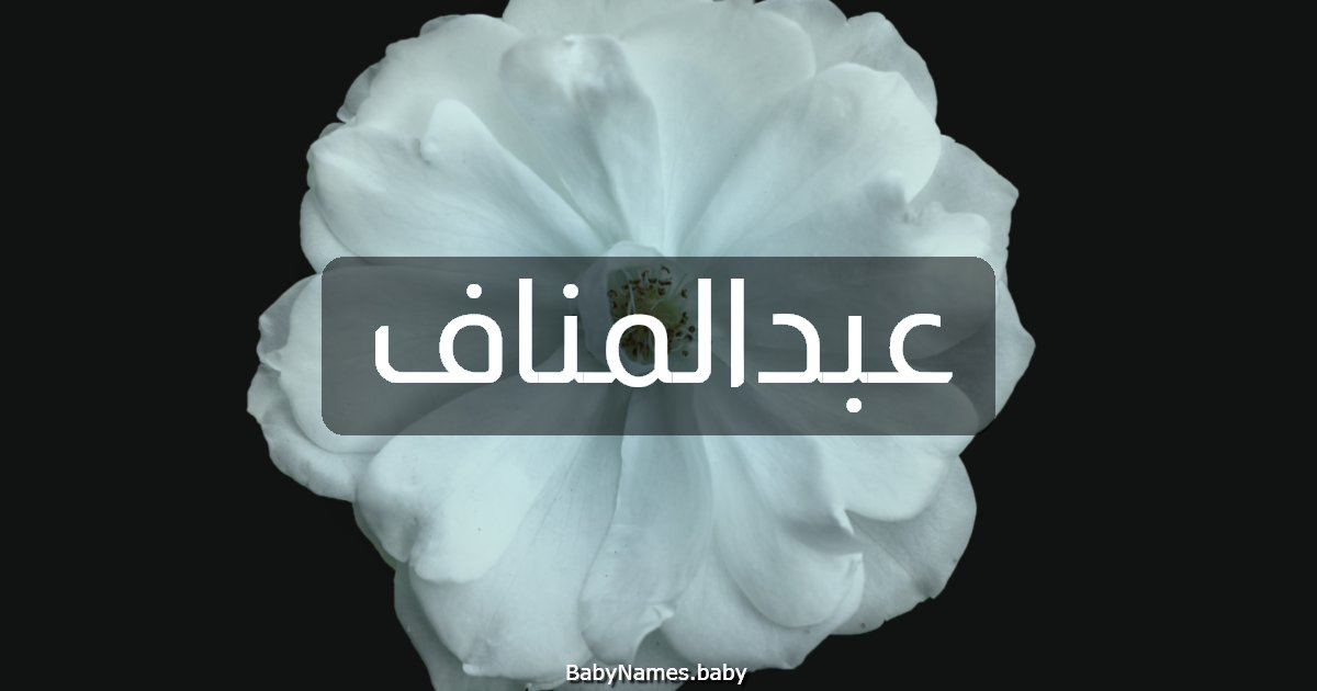 عبدالمناف