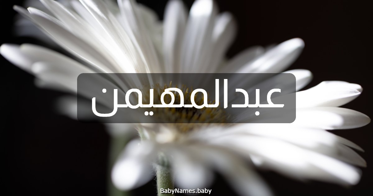 عبدالمهيمن