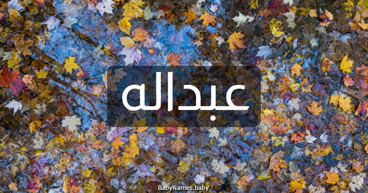 عبداله