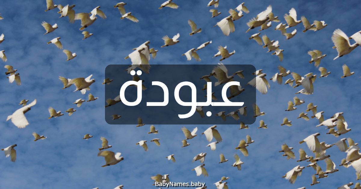 عبودة