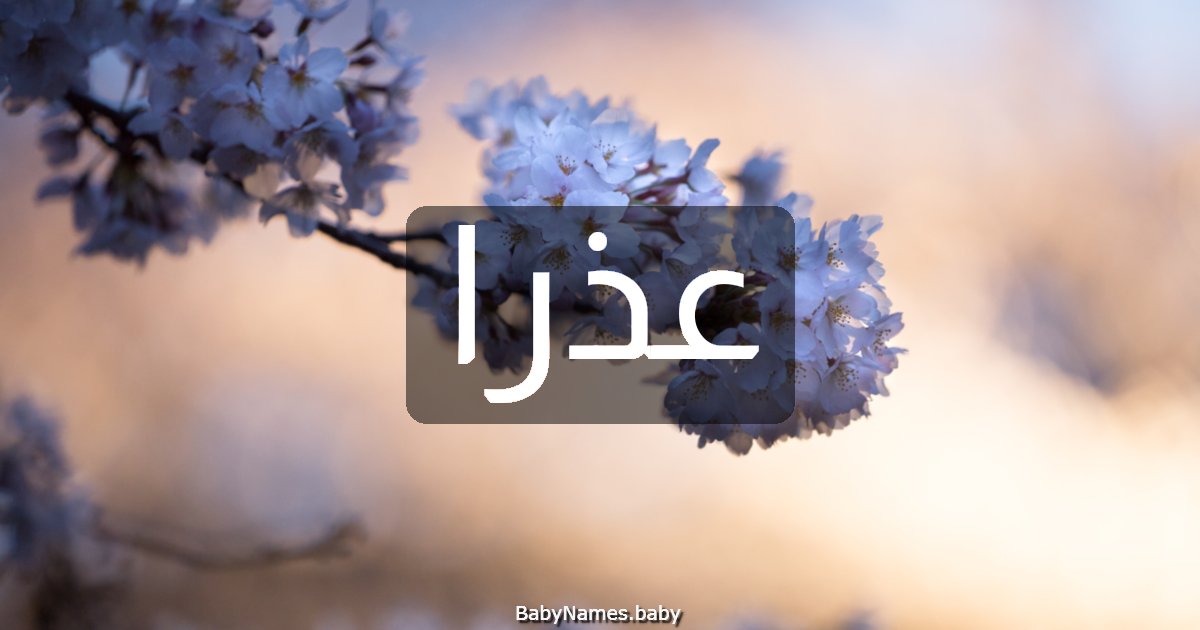 عذرا