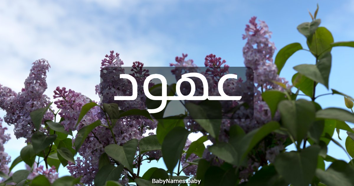 عهود