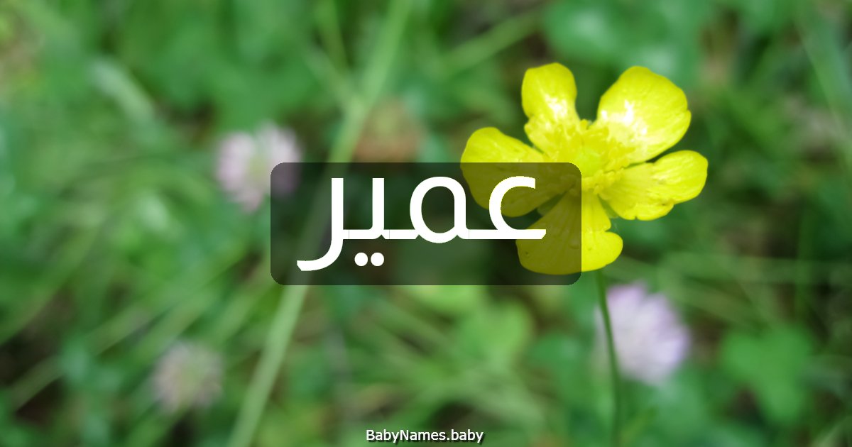 عمير