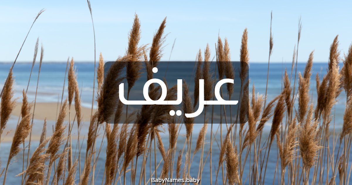 عريف