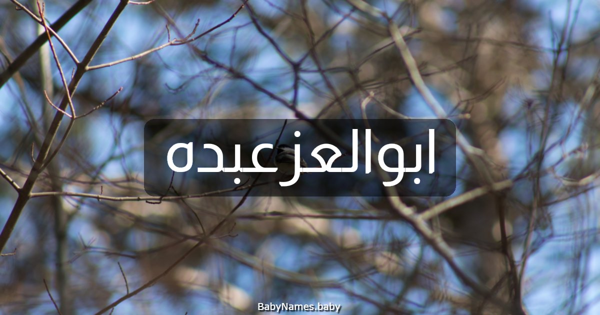 ابوالعزعبده