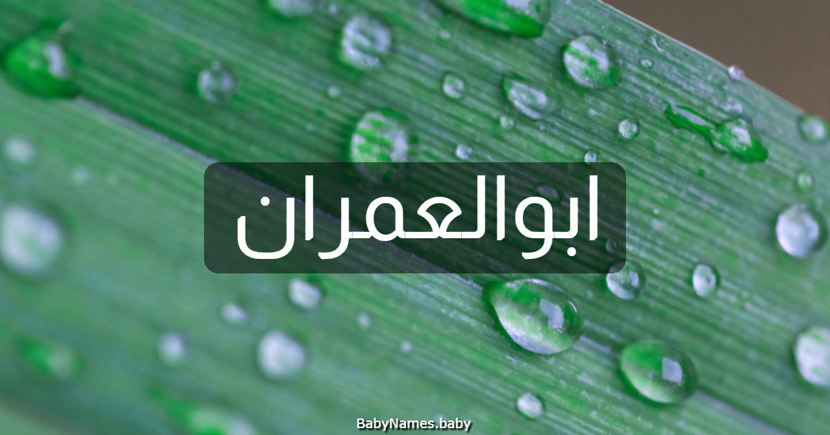 ابوالعمران