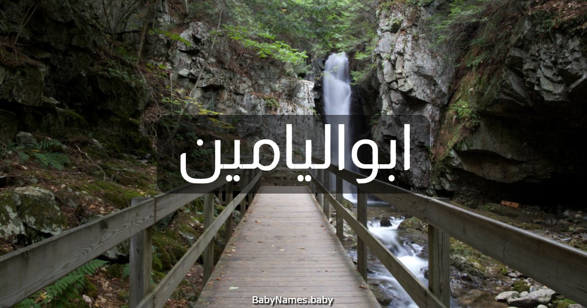 ابواليامين