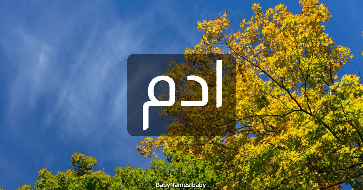 ادم
