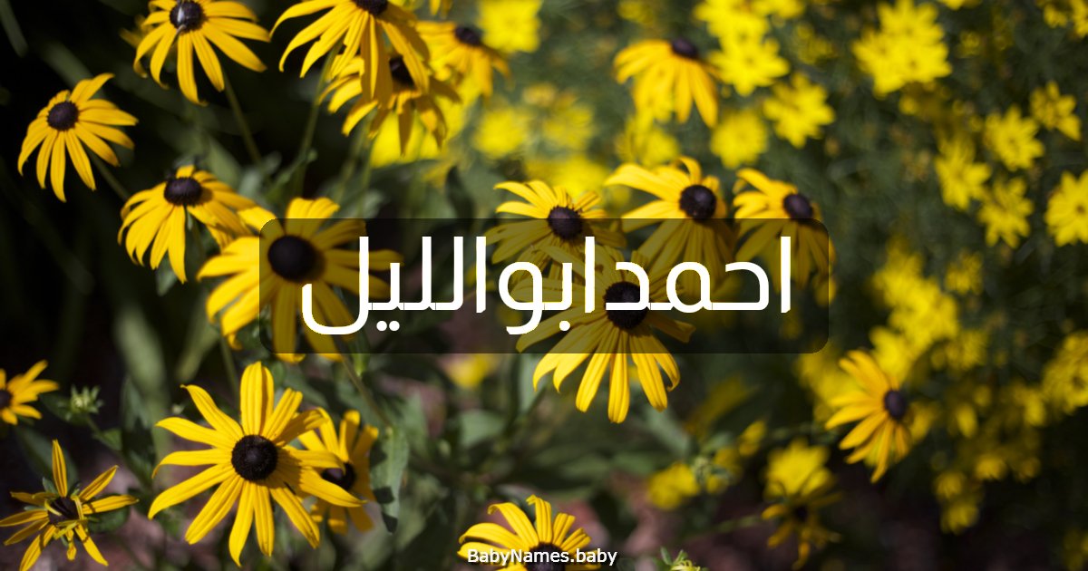 احمدابوالليل