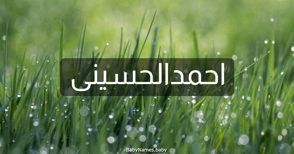 احمدالحسينى