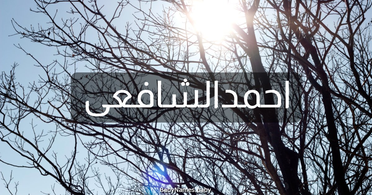 احمدالشافعى