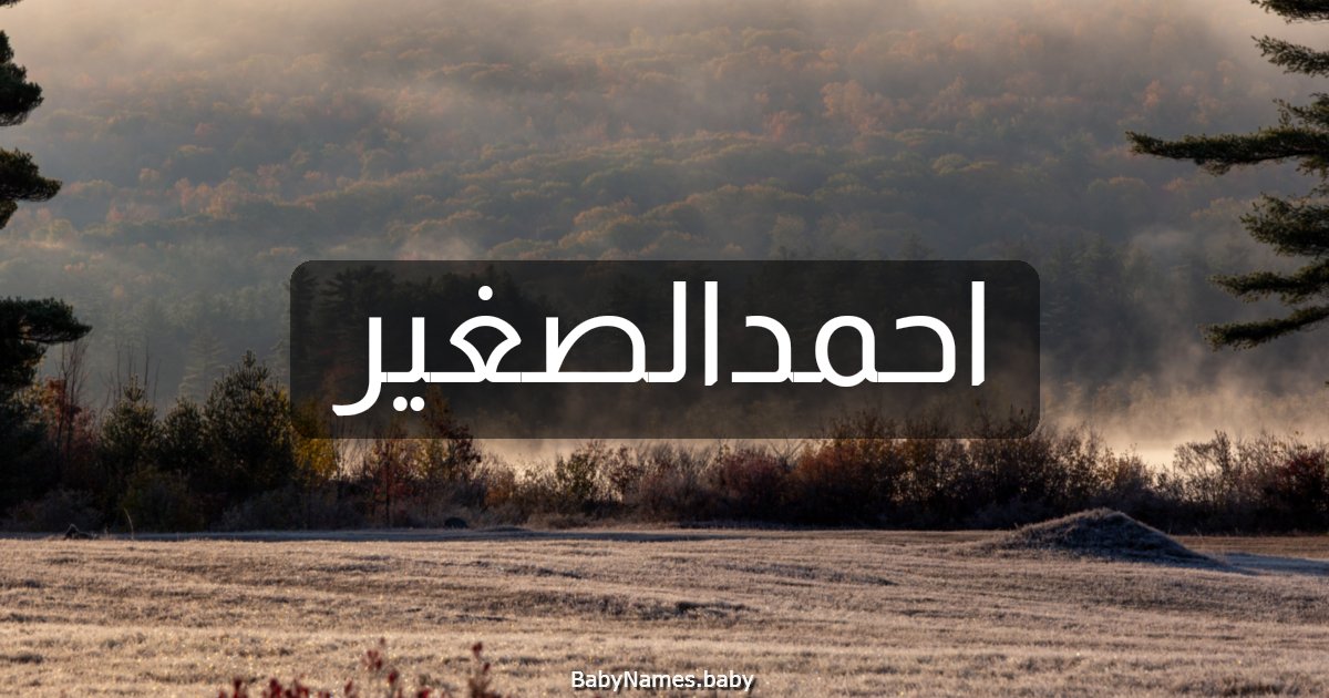 احمدالصغير