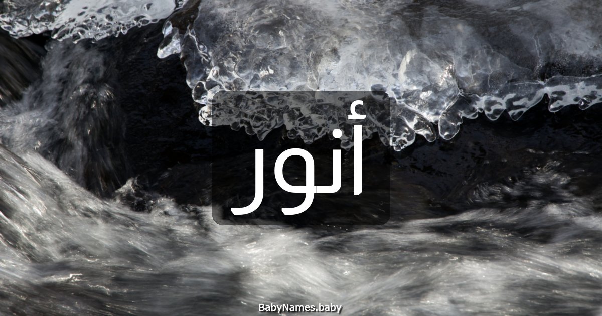 أنور
