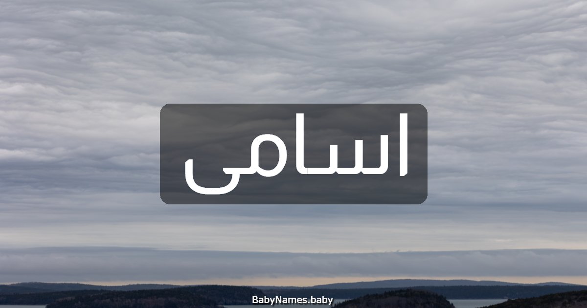 اسامى