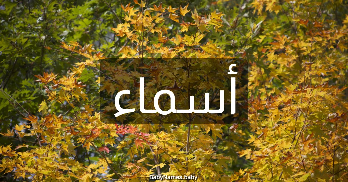 أسماء