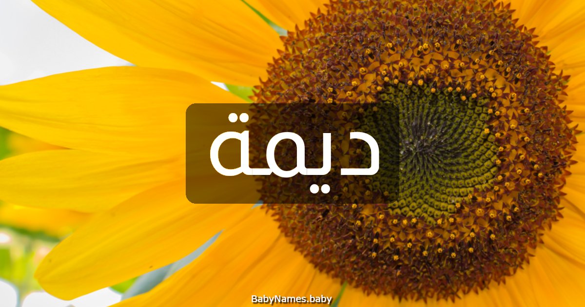 ديمة