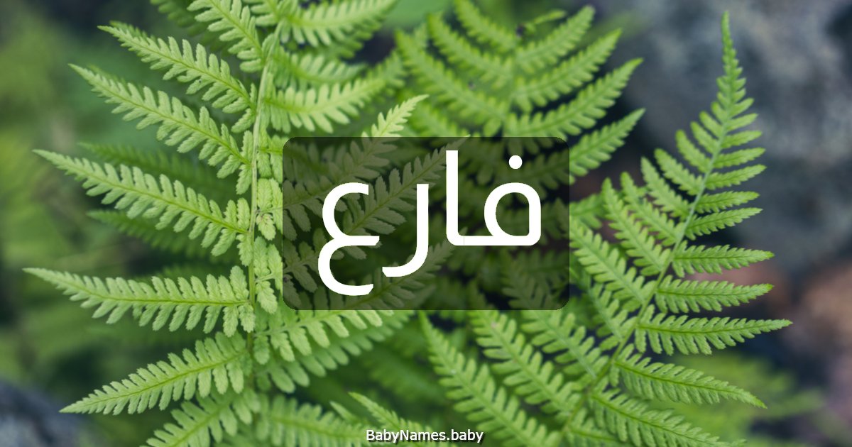فارع