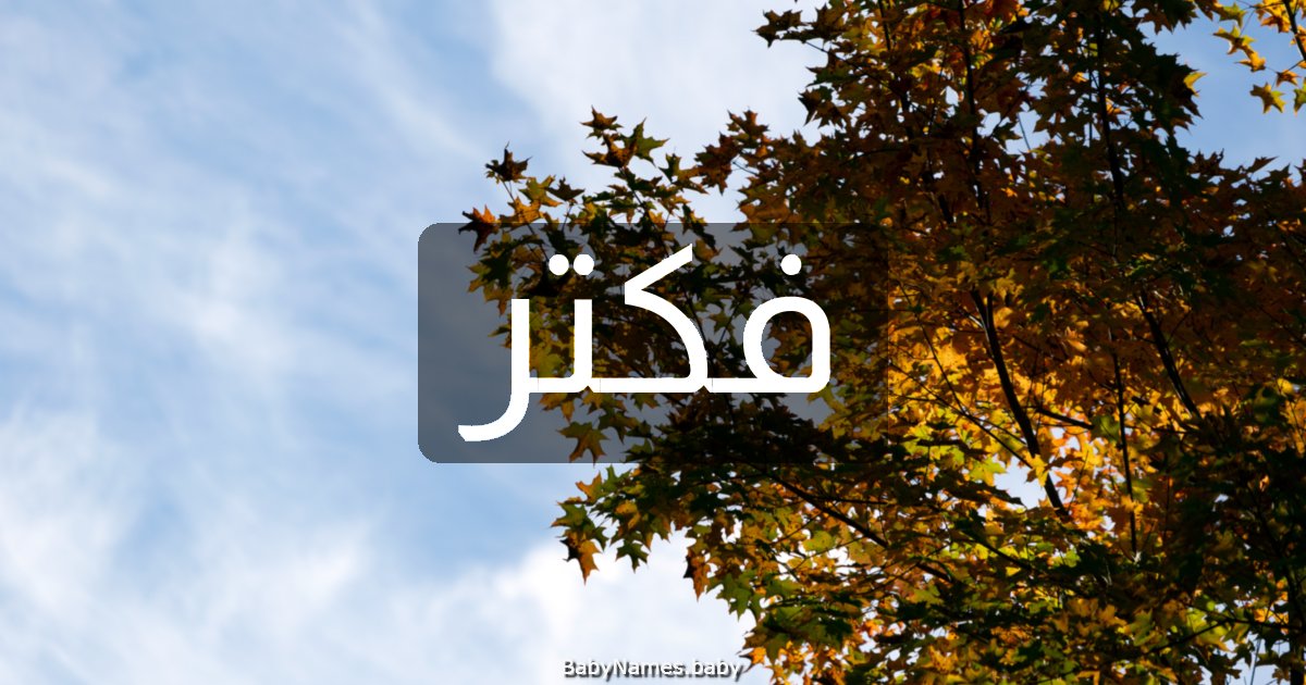فكتر