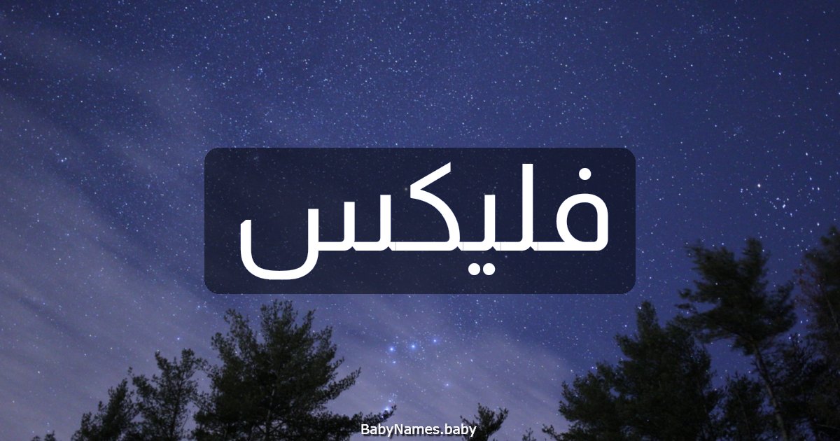 فليكس