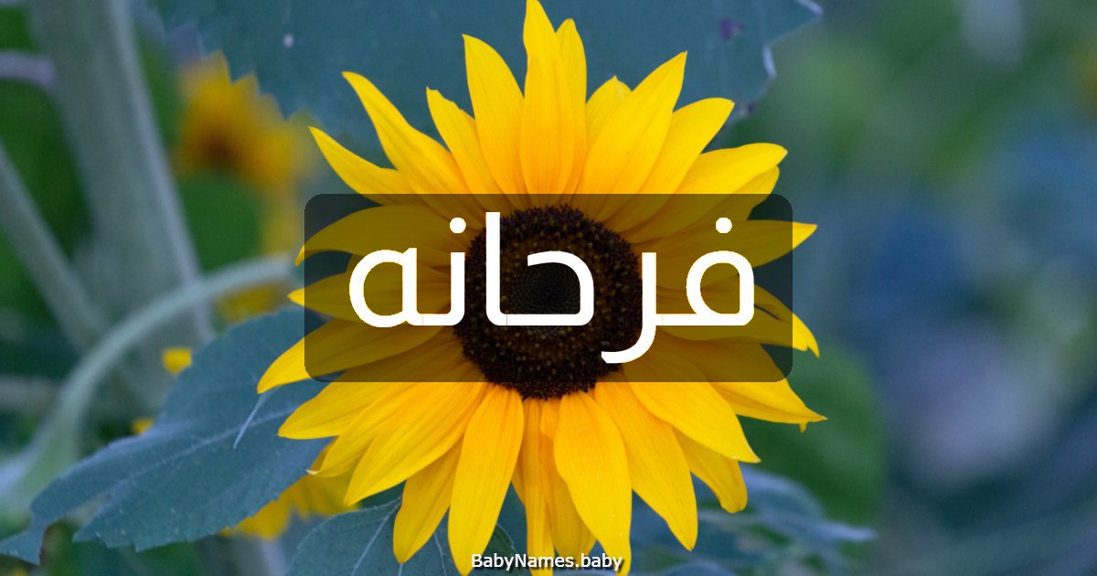 فرحانه