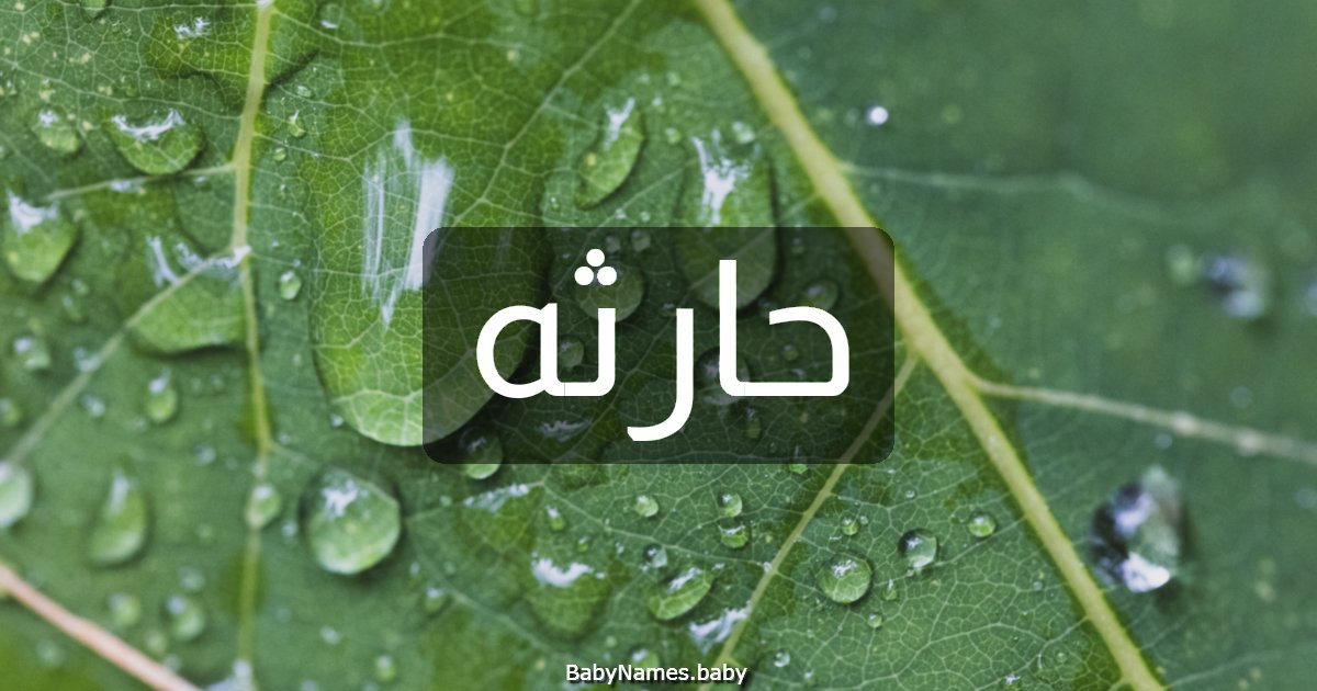 حارثه