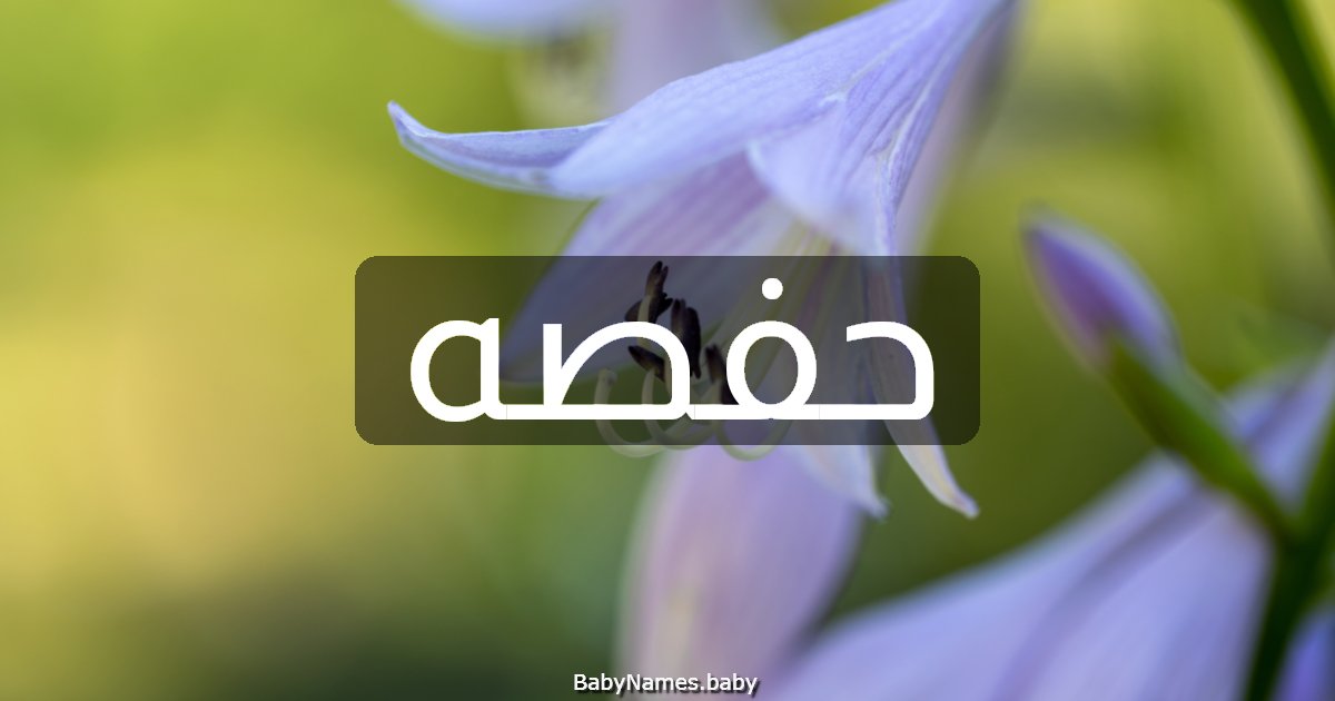حفصه