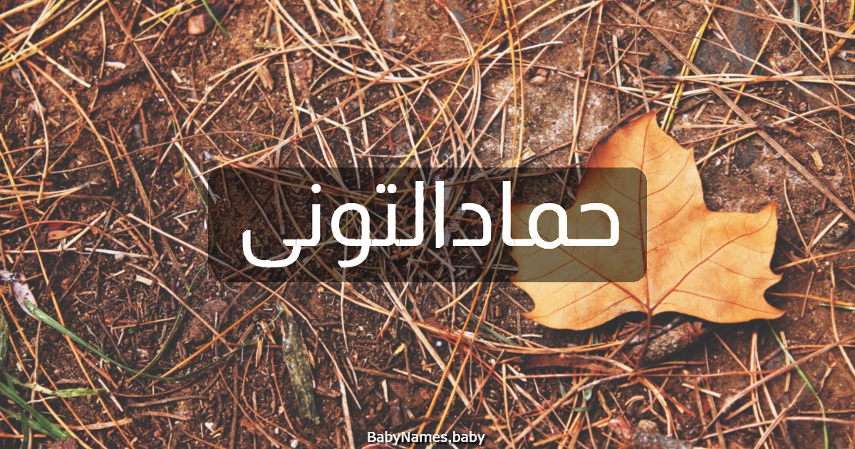 حمادالتونى