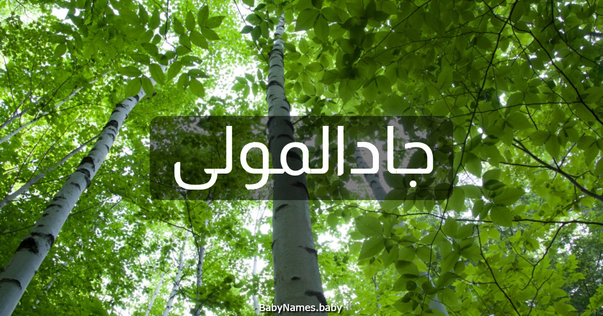 جادالمولى