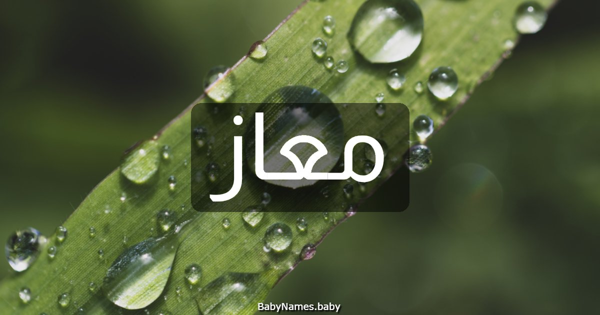 معاز
