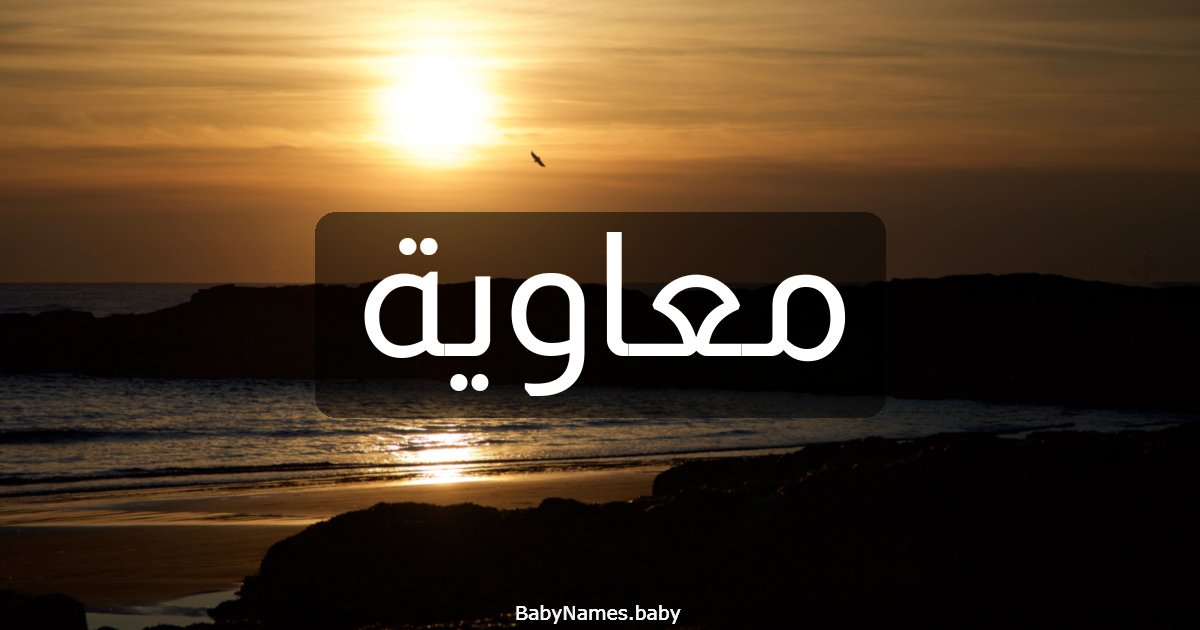 معاوية