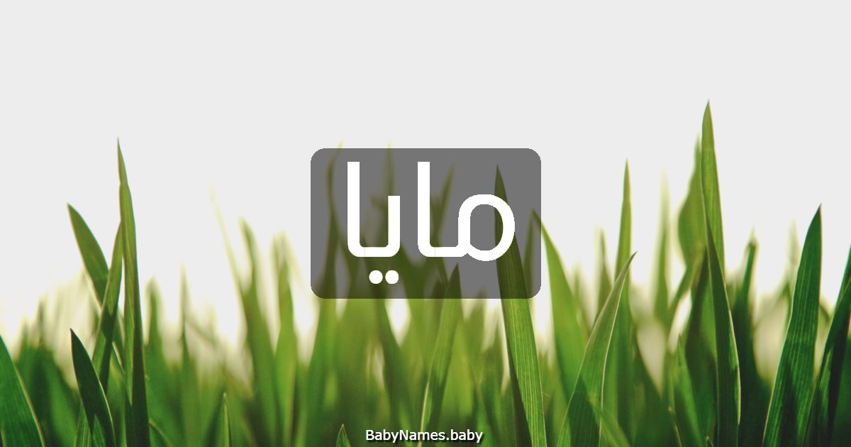 مايا