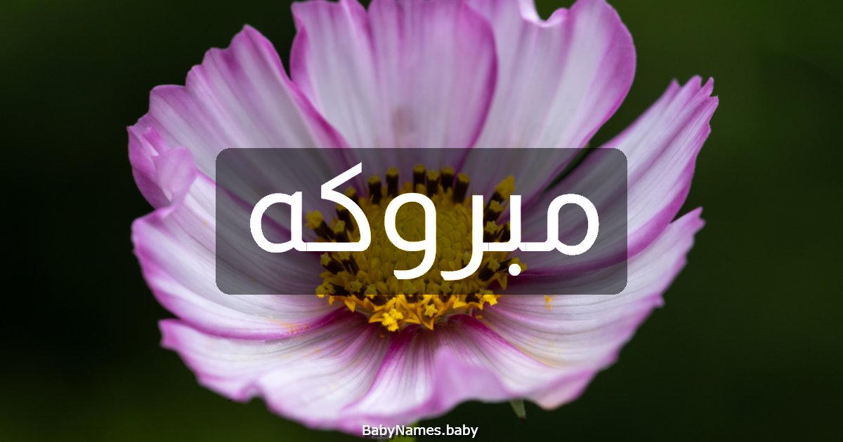 مبروكه
