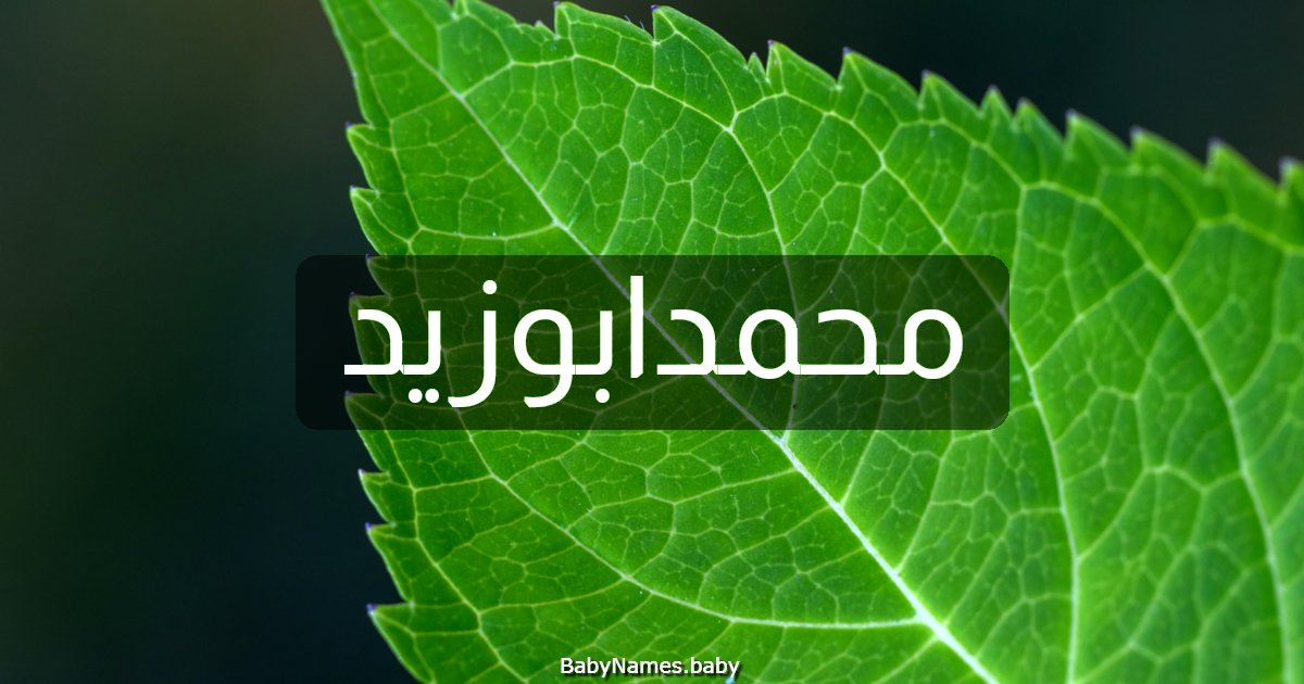 محمدابوزيد