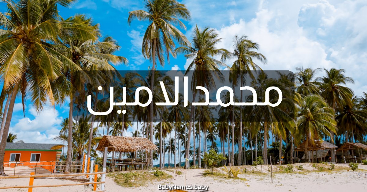 محمدالامين