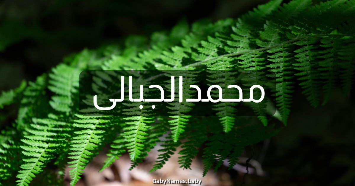 محمدالجبالى