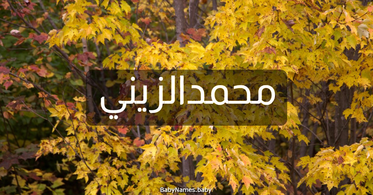 محمدالزيني