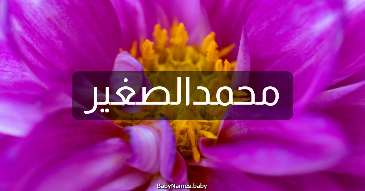 محمدالصغير