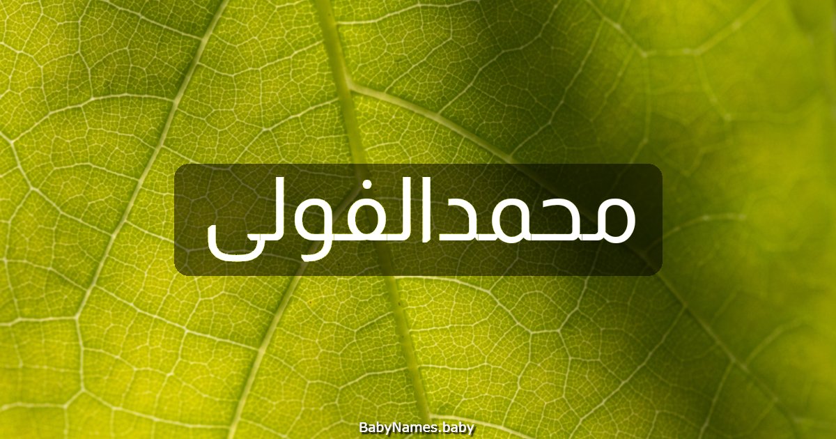 محمدالفولى